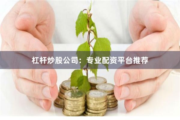 杠杆炒股公司：专业配资平台推荐